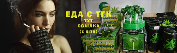 индика Вязьма